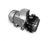 Liquid ring pump LR, LRM